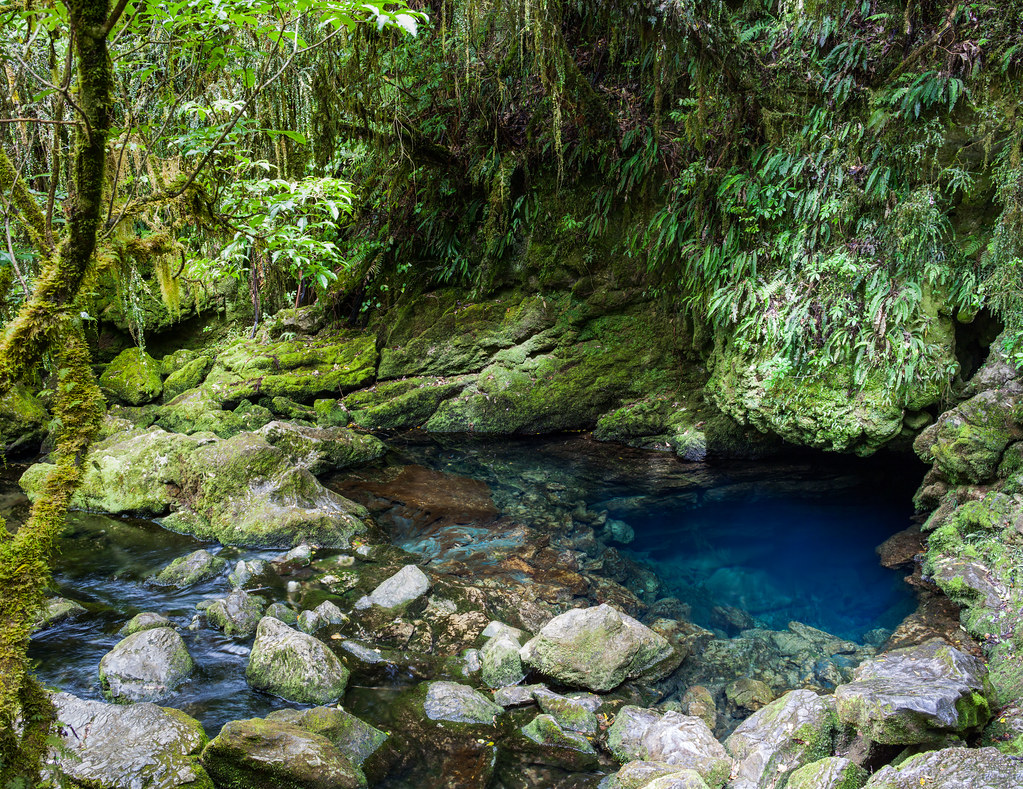 22889931110_303b0a7605_b